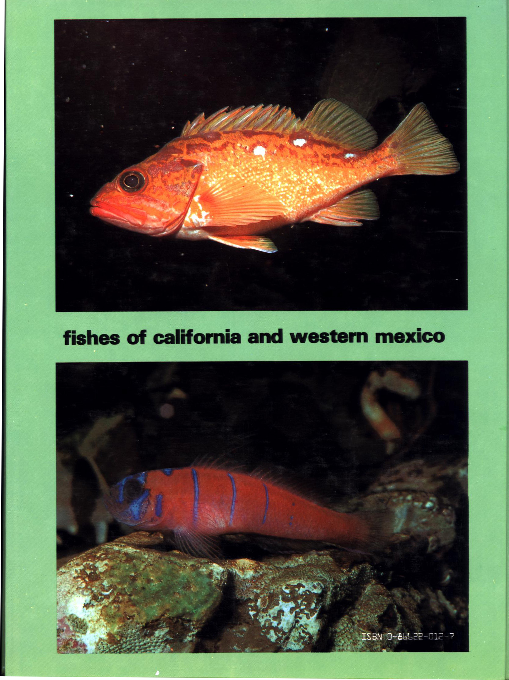 FISHES OF CALIFORNIA AND WESTERN MEXICO: Pacific marine fishes, Book 8 (California & Western Mexico). tfhp6102k